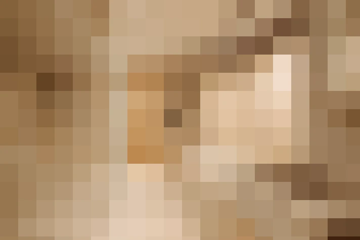  / #15