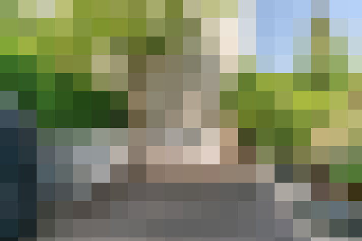  / #17