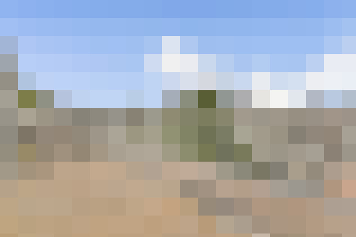  / #16