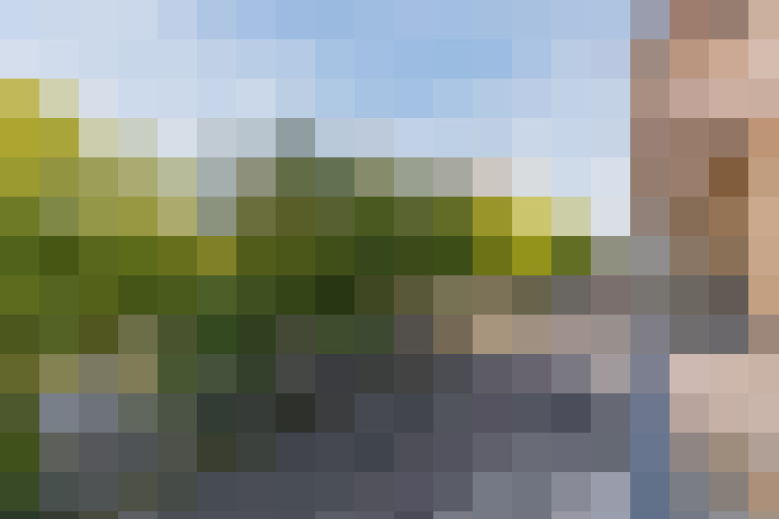  / #61