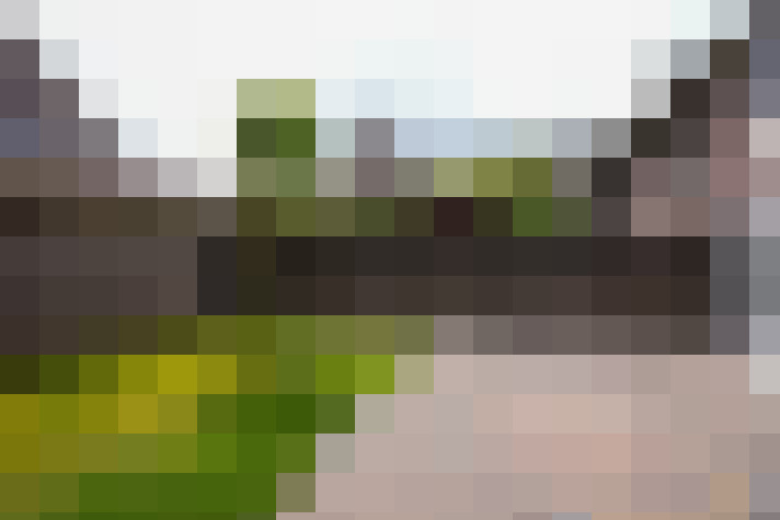  / #43