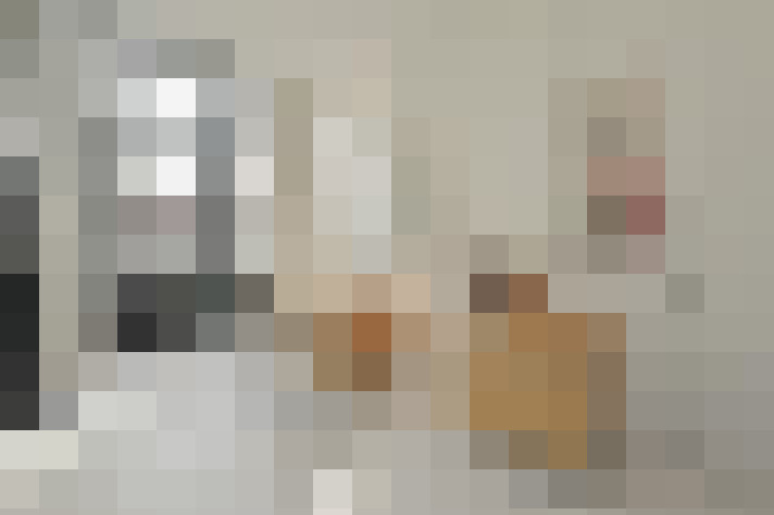  / #14