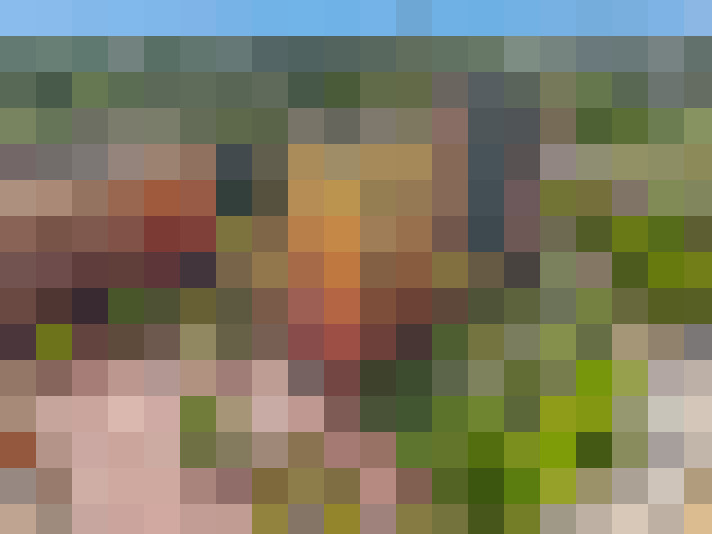  / #17