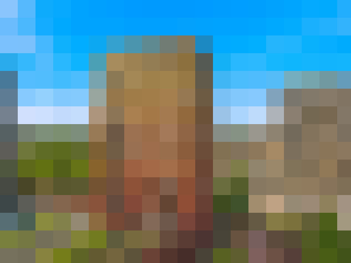  / #15