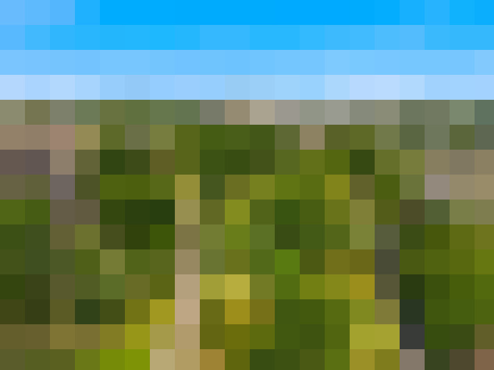  / #16