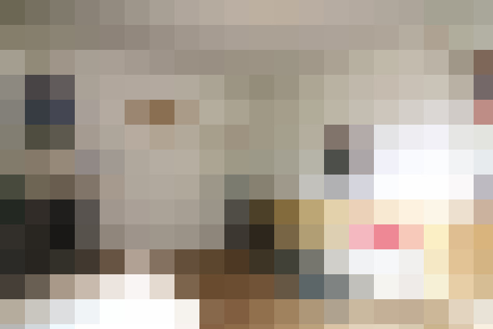  / #16