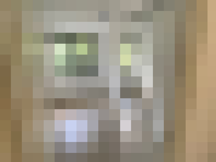  / #15