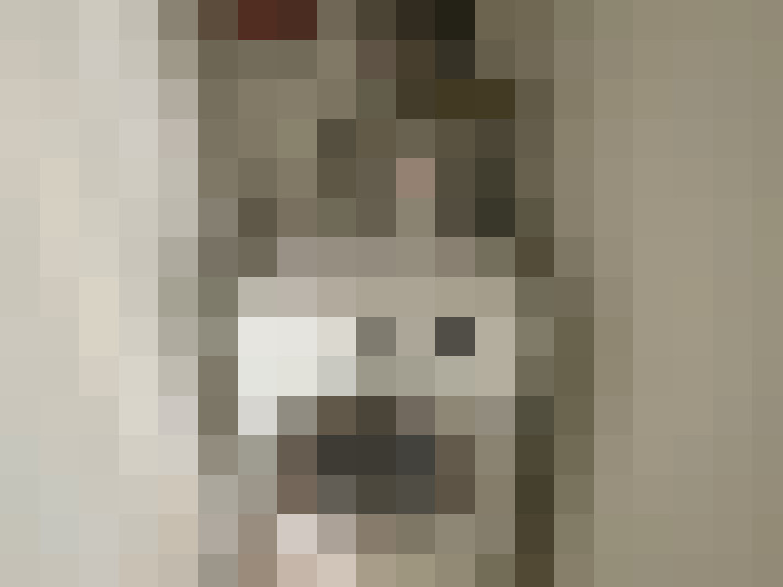  / #20