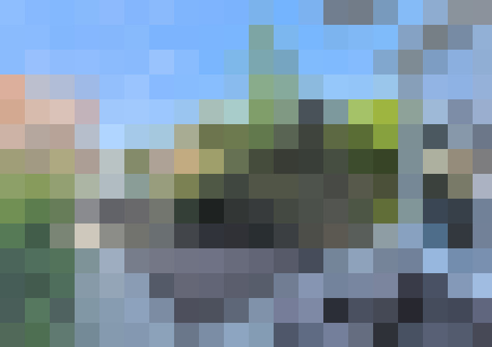  / #56
