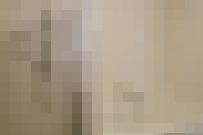  / #15