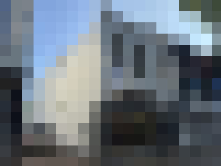  / #6