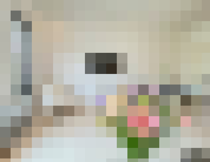  / #18