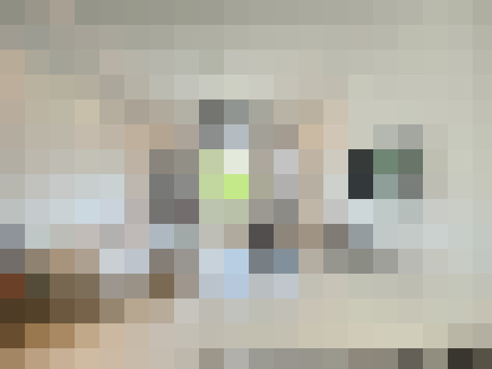  / #13