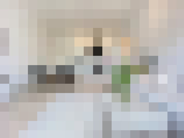  / #17