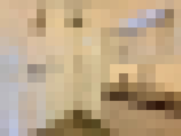  / #23