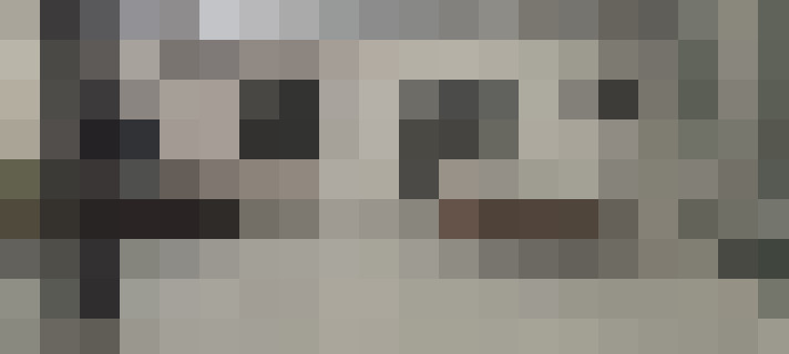  / #15