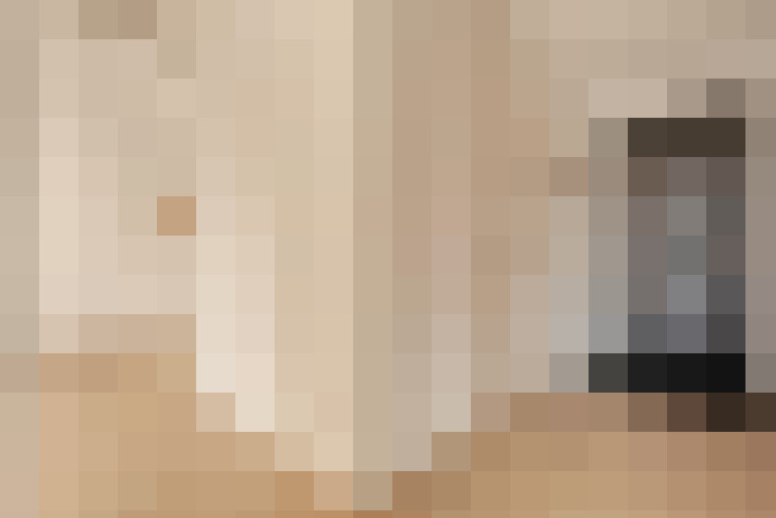  / #19