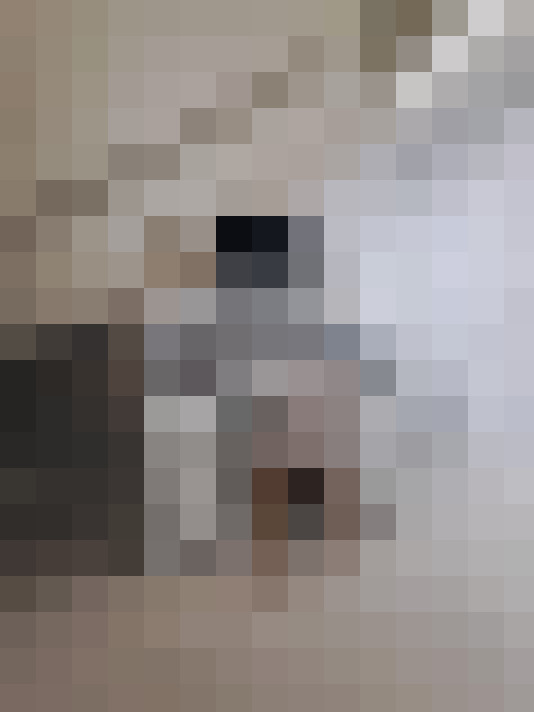  / #24