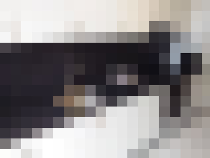  / #11