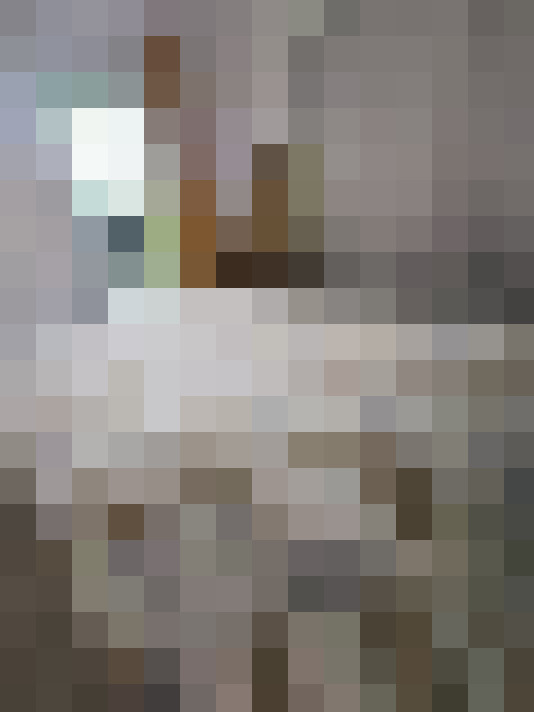  / #17