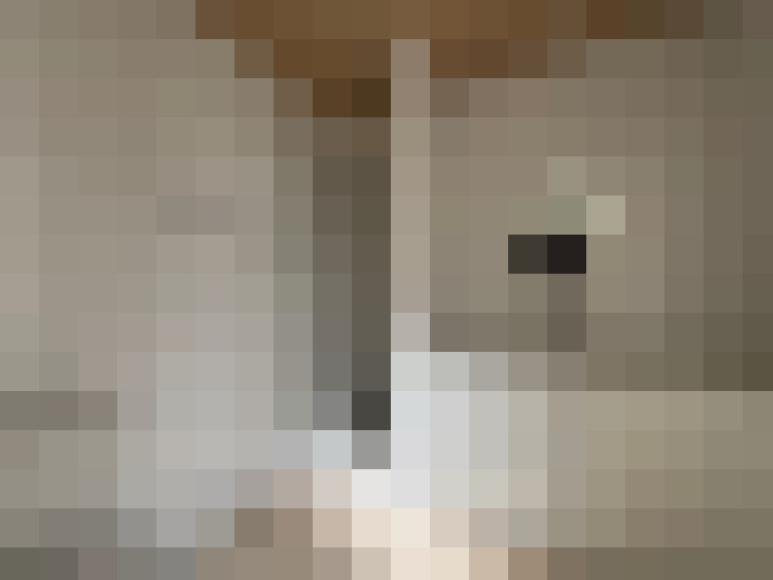  / #17