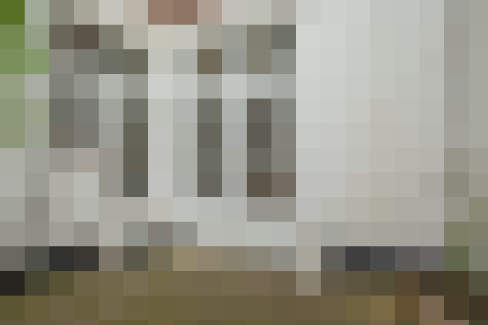  / #19
