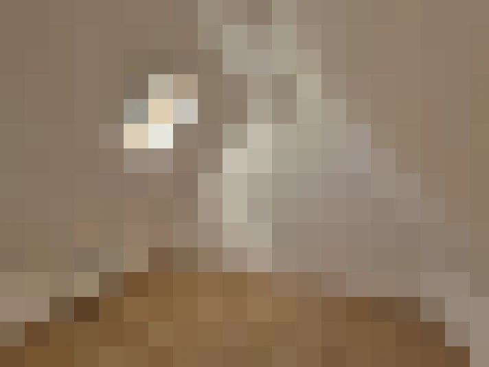  / #9