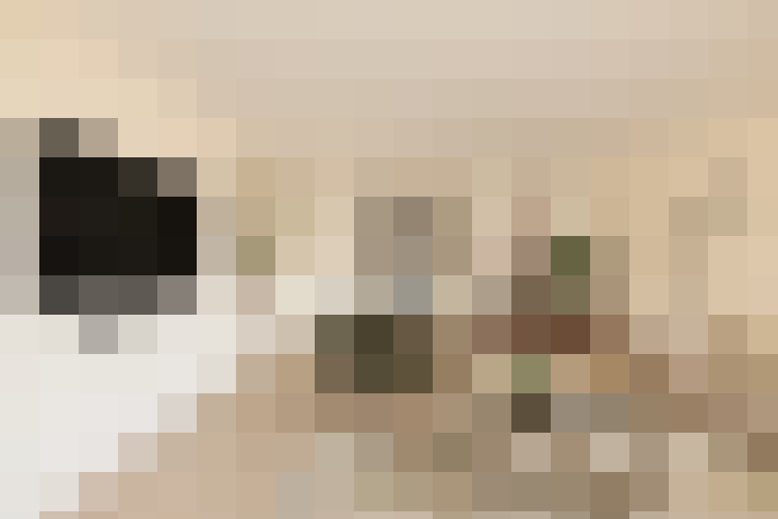  / #7