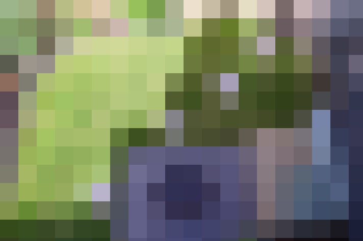  / #49