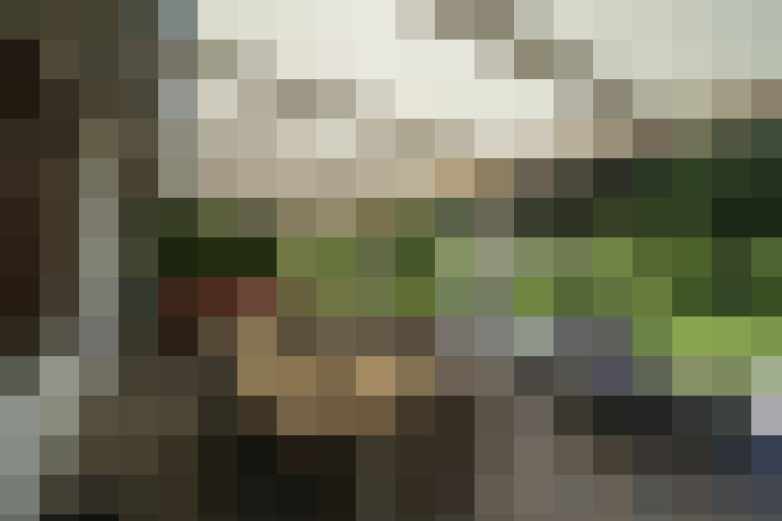  / #7