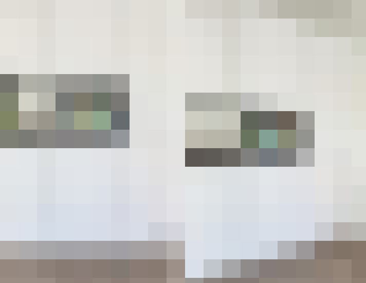  / #14