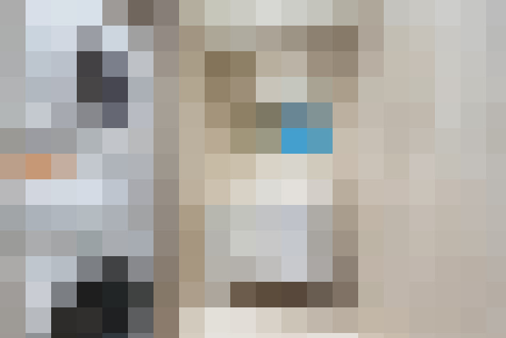  / #24