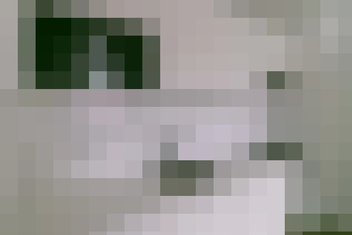  / #8