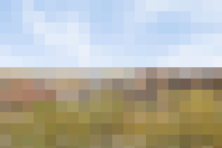  / #18