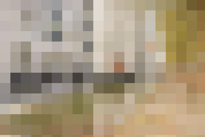  / #31