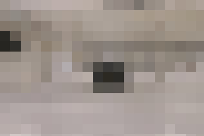 / #36