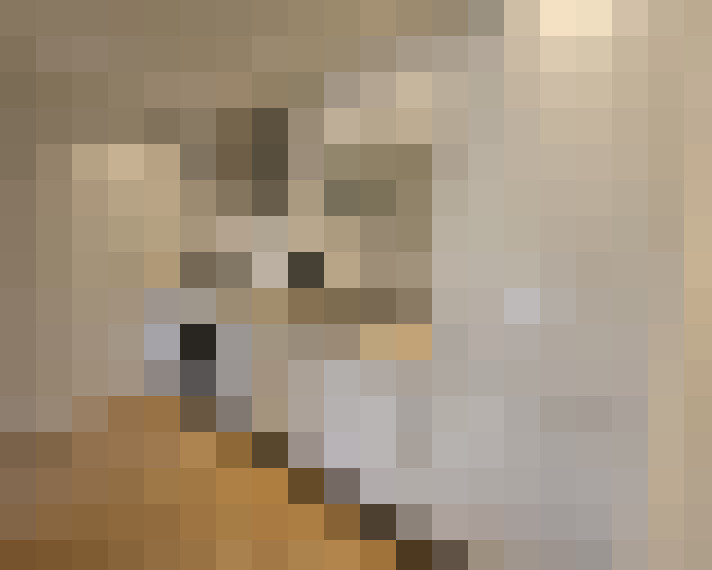  / #14