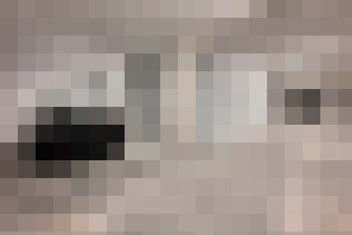  / #42