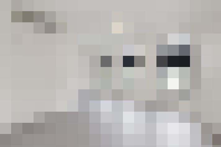  / #20