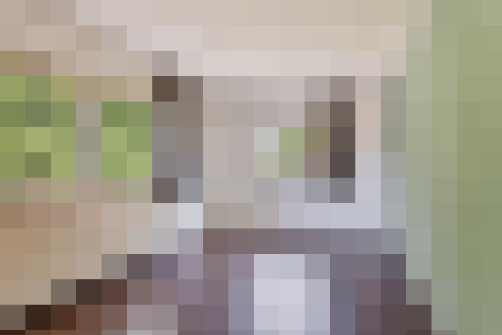  / #23