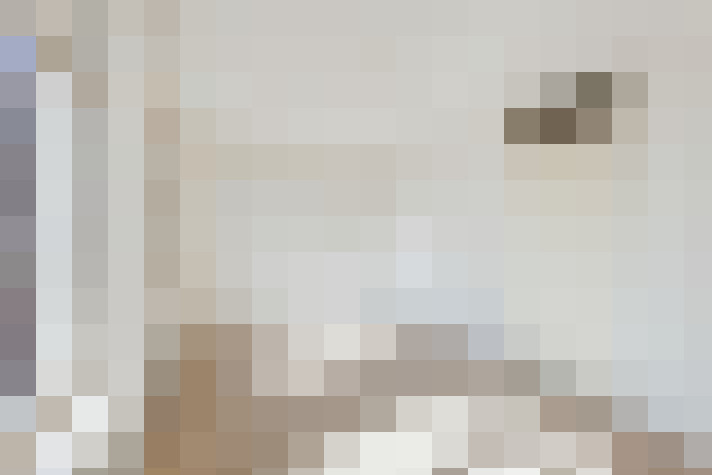 / #15