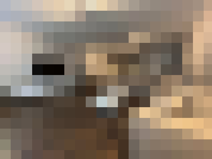  / #14