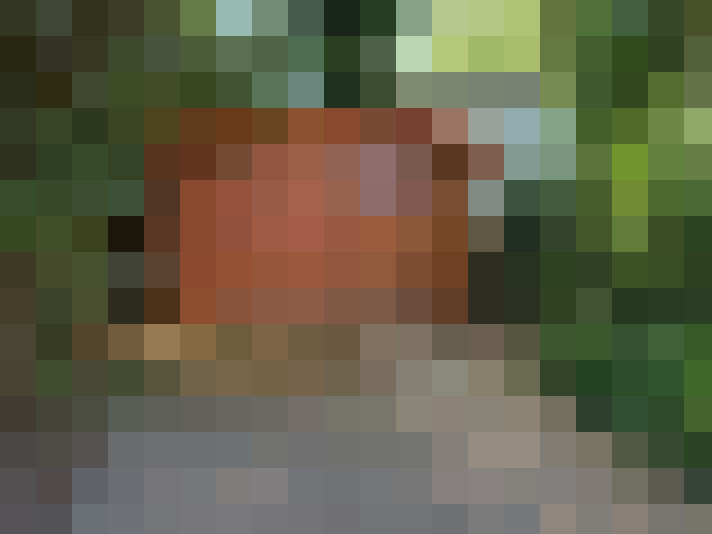  / #26