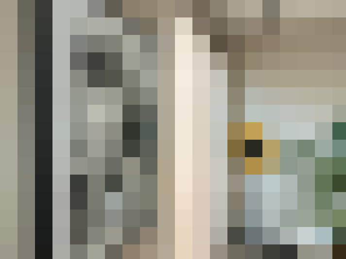  / #17