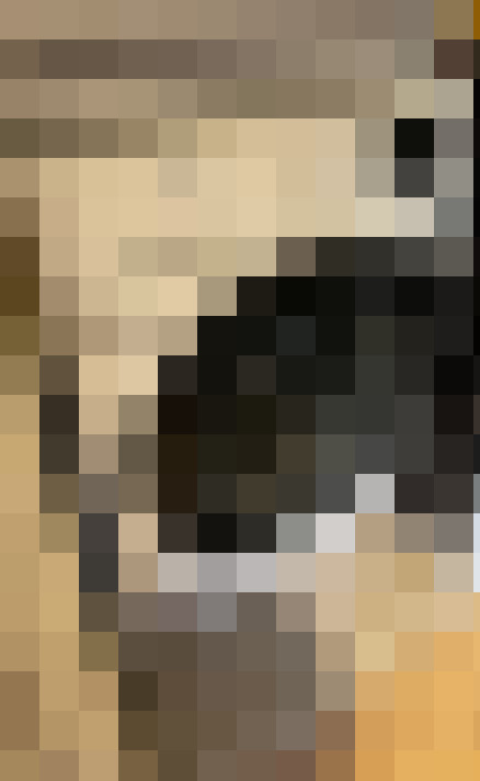  / #15