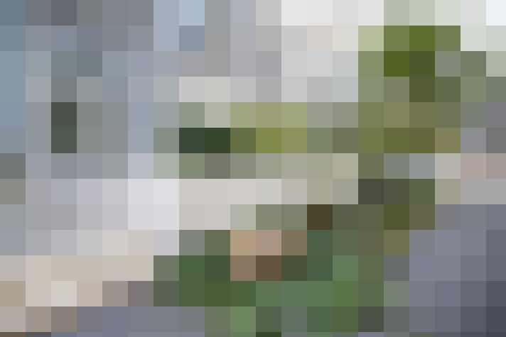  / #62