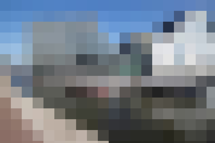  / #61