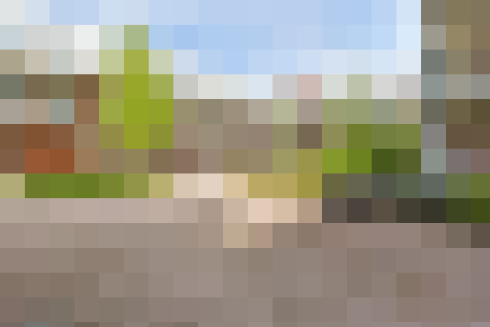  / #13