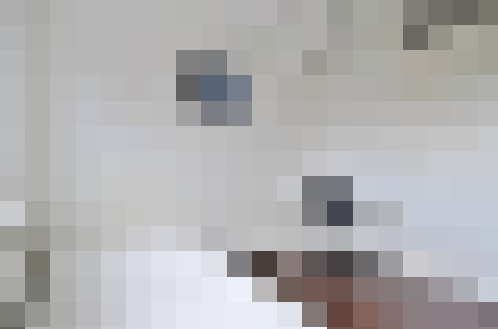  / #33