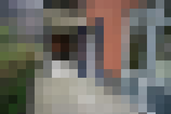  / #14